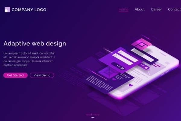 The Perks of Having a Professional Web Design