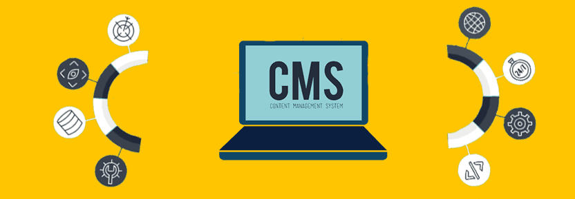 What is the Best Programming Language to Create a CMS