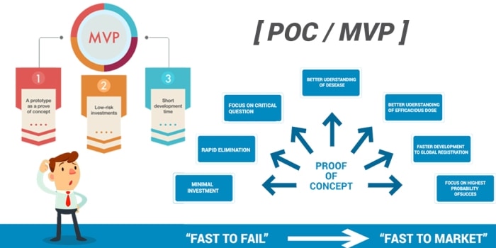 MVP vs POC