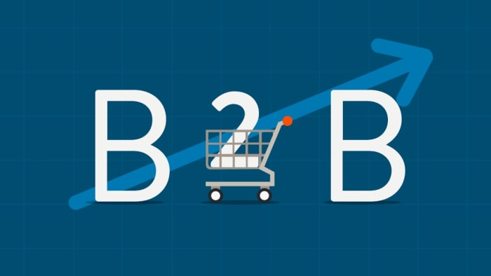 B2B Website