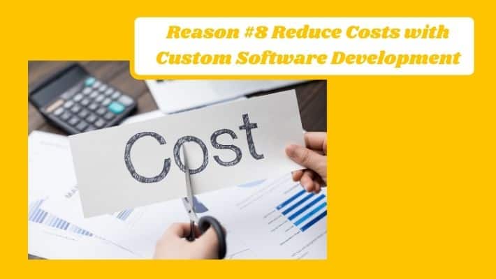 Reason #8 Reduce Costs with Custom Software Development
